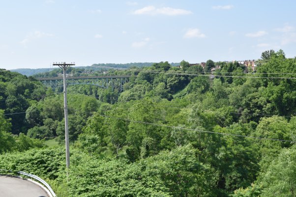 This picture sums up Pittsburgh--lots of gorges and bridges, along with some row houses in the distance.