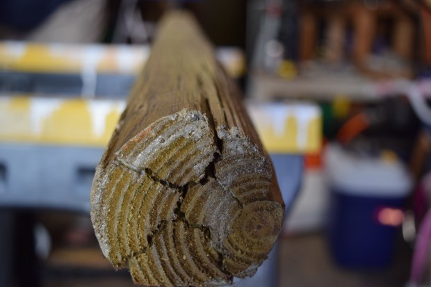 My 8 ft. post is about to get cut down to 5ft. for my bottle tree.