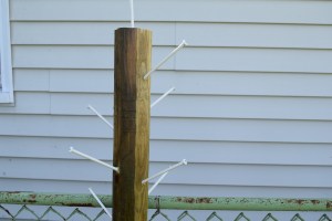 The finished product.