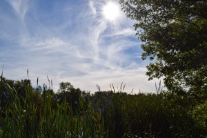 Perfect fall weather during a walk along the canal. 