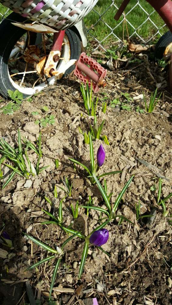 IMG_20160320_215556_01